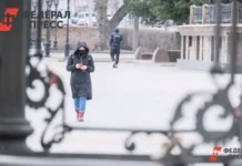 Как Госуслуги и полиция Томска помогают противостоять мошенникам онлайн kak gosuslugi i policziya tomska pomogayut protivostoyat moshennikam onlajn-politgolos-ru-0