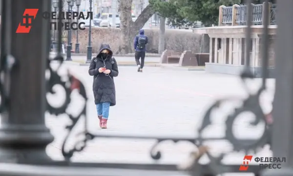 Как Госуслуги и полиция Томска помогают противостоять мошенникам онлайн-0