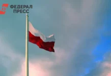 Калининградская область становится центром диалога между Польшей и Россией kaliningradskaya oblast stanovitsya czentrom dialoga mezhdu polshej i rossiej-politgolos-ru-0