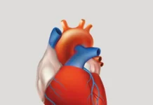 Константин Агладзе из МФТИ рассказывает о самоорганизации сердца в PLOS Computational Biology konstantin agladze iz mfti rasskazyvaet o samoorganizaczii serdcza v -politgolos-ru-0