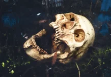 Мексиканские археологи нашли древний кубический череп в Тамаулипасе meksikanskie arheologi nashli drevnij kubicheskij cherep v tamaulipase-politgolos-ru-0