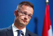 Петер Сийярто поддержал переводчицу на встрече Виктора Орбана и Владимира Путина peter sijyarto podderzhal perevodchiczu na vstreche viktora orbana i vladimira putina-politgolos-ru-0