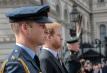 princz uilyam i klaudiya shiffer vstretilis v vindzorskom zamke-politgolos-ru-0