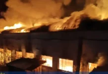 Прокуратура контролирует расследование ЧП на деревообрабатывающем заводе в Находке prokuratura kontroliruet rassledovanie chp na derevoobrabatyvayushhem zavode v nahodke-politgolos-ru-0