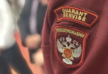 rospotrebnadzor soobshhaet o nizkom riske zheltuhi iz chehii i grippa-politgolos-ru-0