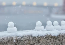 Татьяна Позднякова из Метеоновостей о том, каким будет конец года в Москве tatyana pozdnyakova iz meteonovostej o tom kakim budet konecz goda v moskve-politgolos-ru-0