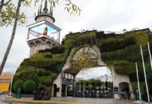 Успехи Московского зоопарка с жирафом Самсоном и манулом Тимофеем uspehi moskovskogo zooparka s zhirafom samsonom i manulom timofeem-politgolos-ru-0