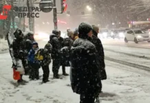 В 2026 году Социальный фонд введет новые пенсии и материнский капитал v 2026 godu soczialnyj fond vvedet novye pensii i materinskij kapital-politgolos-ru-0