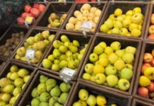 В Свердловской области подорожали свежие огурцы, радуя рынок новыми тенденциями v sverdlovskoj oblasti podorozhali svezhie ogurczy raduya rynok novymi tendencziyami-politgolos-ru-0