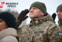 Валерий Залужный сообщил о предупреждении ВСУ о риске гражданской войны в Украине valerij zaluzhnyj soobshhil o preduprezhdenii vsu o riske grazhdanskoj vojny v ukraine-politgolos-ru-0