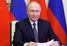 Владимир Путин и пенсионеры принимают меры против телефонных аферистов vladimir putin i pensionery prinimayut mery protiv telefonnyh aferistov-politgolos-ru-0