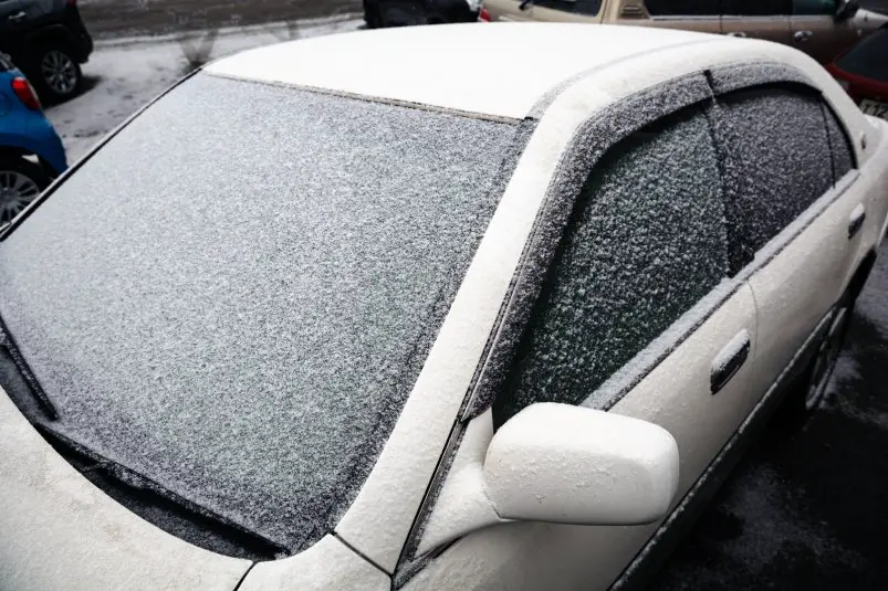 Фото: primamedia.ru