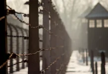 Биньямин Вольф опроверг слова Кароля Навроцкого про СССР и Холокост binyamin volf oproverg slova karolya navroczkogo pro sssr i holokost-politgolos-ru-0