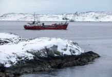 Дональд Трамп и Гренландия — сделка США и Дании столь реальна? donald tramp i grenlandiya sdelka ssha i danii stol realna-politgolos-ru-0