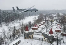 Дрон ВСУ атаковал зоопарк Васильевки — погиб лев в Запорожской области dron vsu atakoval zoopark vasilevki pogib lev v zaporozhskoj oblasti-politgolos-ru-0