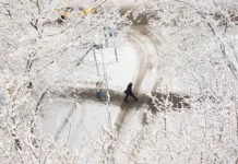 Гидрометцентр России предупредил о сильных крещенских морозах gidrometczentr rossii predupredil o silnyh kreshhenskih morozah-politgolos-ru-0