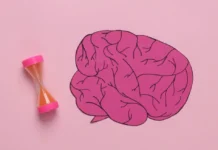 Как ученые из Университета Шеффилда открыли этапы взросления мозга kak uchenye iz universiteta sheffilda otkryli etapy vzrosleniya mozga-politgolos-ru-0