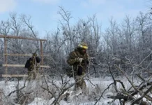 koshkovich predrekaet ukraine katastrofu izza zelenskogo nato i ssha-politgolos-ru-0