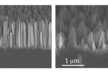 МГУ Ломоносова: кремниевые нанонити для солнечных батарей и наноконтейнеров mgu lomonosova kremnievye nanoniti dlya solnechnyh batarej i nanokontejnerov-politgolos-ru-0