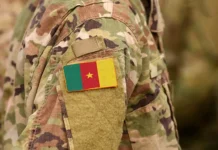 minoborony rossii rasshiryaet sotrudnichestvo s afrikoj-politgolos-ru-0