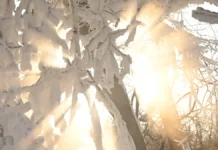 Облачная погода и прохлада порадуют москвичей в Подмосковье oblachnaya pogoda i prohlada poraduyut moskvichej v podmoskove-politgolos-ru-0