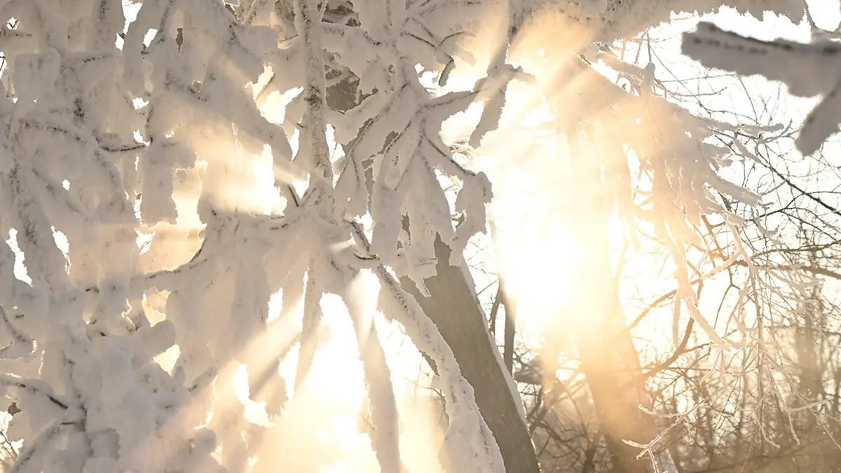 Погода в Москве 30 января 2026 года