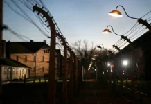 Ордаш прокомментировал исключение России из Аушвиц-Биркенау ordash prokommentiroval isklyuchenie rossii iz aushviczbirkenau-politgolos-ru-0