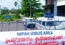 Роспотребнадзор представил тест на вирус Нипах для Индии rospotrebnadzor predstavil test na virus nipah dlya indii-politgolos-ru-0