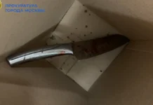 СК РФ возбудил дело против москвича из-за инцидента с семьей sk rf vozbudil delo protiv moskvicha izza inczidenta s semej-politgolos-ru-0