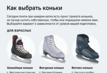 spravedlivaya rossiya predlagaet sdelat katki i gorki besplatnymi na novyj god-politgolos-ru-0