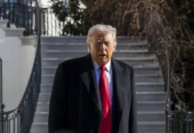 tramp zelenskomu putin gotov k sdelke a kiev  net-politgolos-ru-0