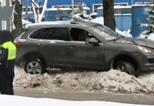 voditel  iz balashihi tailand narkotiki i novyj shans-politgolos-ru-0