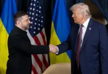 Зеленский и Трамп в Давосе – возможны переговоры с Путиным zelenskij i tramp v davose vozmozhny peregovory s putinym-politgolos-ru-0