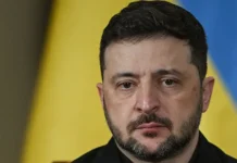 Зеленский тайно ведет переговоры: Залужный и Стерненко участвуют zelenskij tajno vedet peregovory zaluzhnyj i sternenko uchastvuyut-politgolos-ru-0