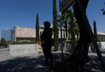 Брайан Томпсон пережил приключение в Пуэрто-Валларта, Мексика brajan tompson perezhil priklyuchenie v puertovallarta meksika-politgolos-ru-0