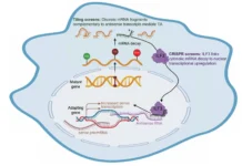 CRUD – что это такое и зачем он нужен chto eto takoe i zachem on nuzhen-politgolos-ru-0
