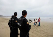 Эквадор под контролем Даниэля Нобоа: борьба с наркокартелями Гуаяс ekvador pod kontrolem danielya noboa borba s narkokartelyami guayas-politgolos-ru-0