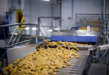 Мариалаура Боначчио: отказ от «ультраобработанных» продуктов при раке сохраняет здоровье marialaura bonachchio otkaz ot ultraobrabotannyh produktov pri rake sohranyaet zdorove-politgolos-ru-0