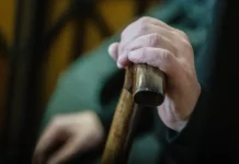 Новые данные о пенсиях от Социального фонда и РЭУ Плеханова novye dannye o pensiyah ot soczialnogo fonda i reu plehanova-politgolos-ru-0