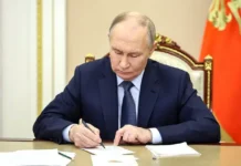 Путин и Мишустин поручили создать приложение для помощи семьям putin i mishustin poruchili sozdat prilozhenie dlya pomoshhi semyam-politgolos-ru-0