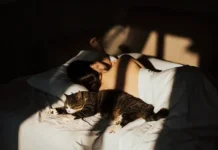 Северо-Западный университет сделал открытия в Arteriosclerosis severozapadnyj universitet sdelal otkrytiya v -politgolos-ru-0