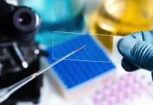 СПбГУ представляет инновации в астрономии и нанотехнологиях spbgu predstavlyaet innovaczii v astronomii i nanotehnologiyah-politgolos-ru-0