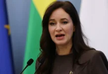 Дрон на Украине упал в Варенском районе — заявление Инги Ругинене dron na ukraine upal v varenskom rajone zayavlenie ingi ruginene-politgolos-ru-0