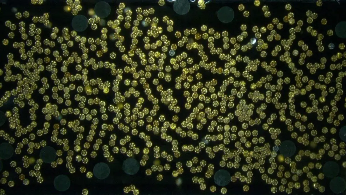 Макс Планк и Мичиганский университет совершили прорыв в робототехнике-0