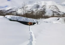 most na kamchatke pod snegom privlek sk v elizovskom rajone-politgolos-ru-0