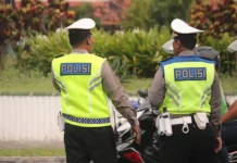 Полиция Бали ищет убийц Рене Поува в Индонезии policziya bali ishhet ubijcz rene pouva v indonezii-politgolos-ru-0