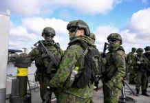 salli rajski o molodezhi v vsu cherez seti armando mema-politgolos-ru-0