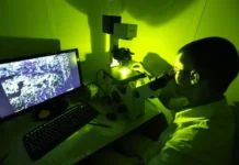 Университет Хельсинки и УрФУ создают 3D-модель метеорита "Озёрки" universitet helsinki i urfu sozdayut 3model meteorita ozyorki-politgolos-ru-0