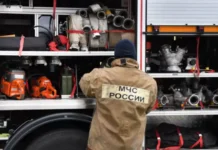 Усть-Луга и Киришский район локализовали возгорания в Ленобласти ustluga i kirishskij rajon lokalizovali vozgoraniya v lenoblasti-politgolos-ru-0