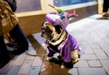 9 апреля – праздничные события с Петром I, Матроной и Кристен Стюарт 9 aprelya prazdnichnye sobytiya s petrom matronoj i kristen styuart-politgolos-ru-0